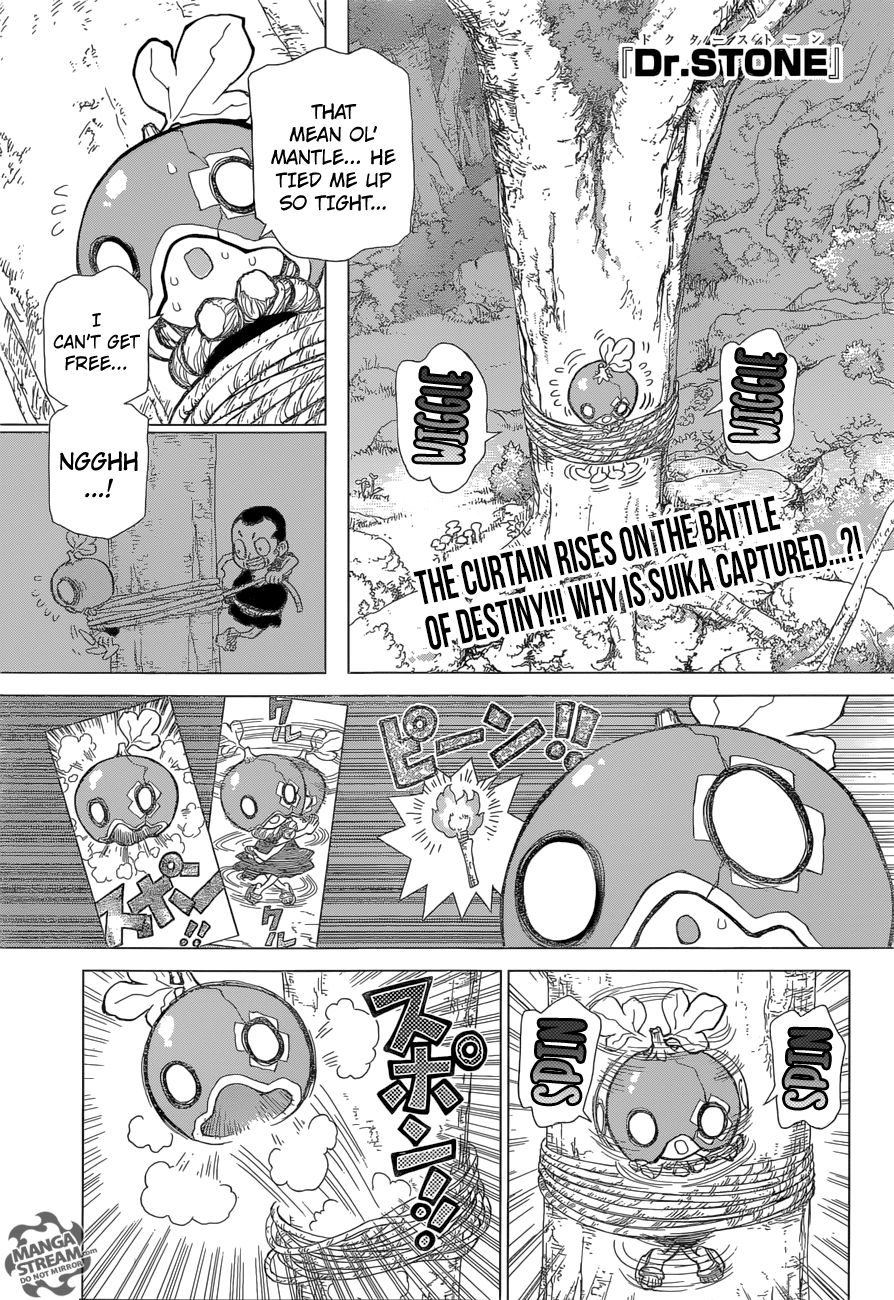 Dr. Stone Chapter 35 1